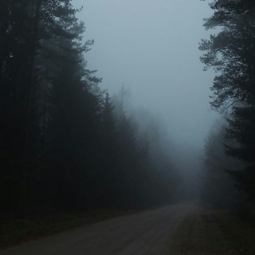 Way to afraid!!