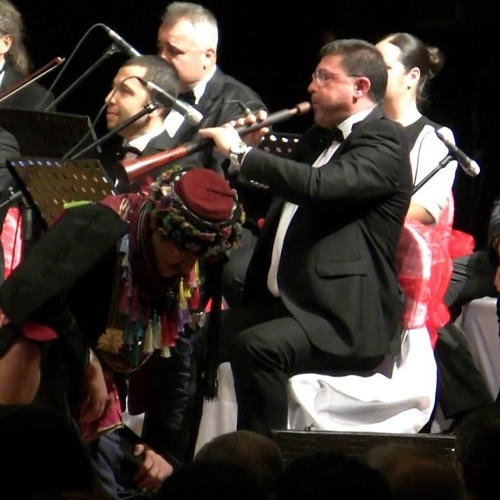 Ercan Taşdemir ve Halil Çokyürekli - Çakal Çökerten Zeybeği