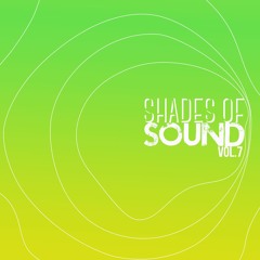 Joe Morris l Shades of Sound Vol.7