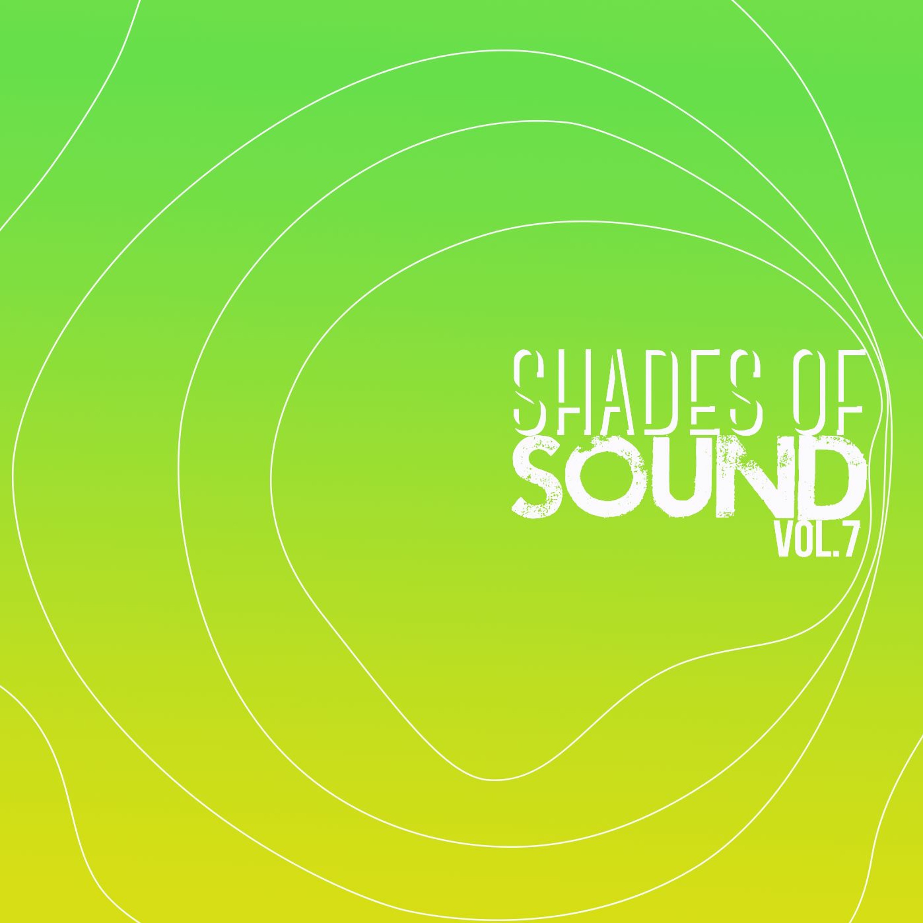 Joe Morris / Shades Of Sound