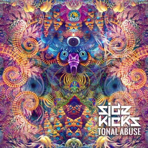 Sidekicks - Chased through the Woods [BMSS Records | 2019]