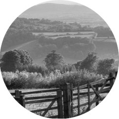 Terrace Audio - Scenes