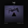 Shaed Trampoline Brdy Remix Mp3