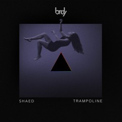 SHAED - Trampoline (BRDY Remix)