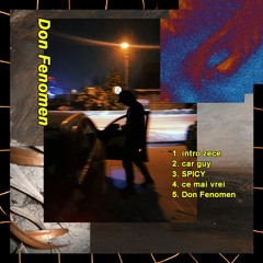 2. car guy