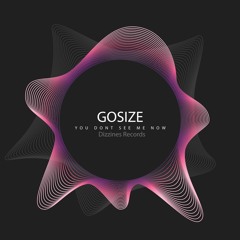 DZR2066 : Gosize - You Dont See Me Now (Original Mix) 14/01/19 on Beatport