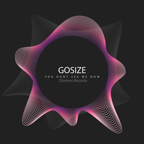 DZR2066 : Gosize - You Dont See Me Now (Original Mix) 14/01/19 on Beatport