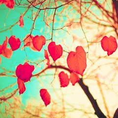 Heart Medicine