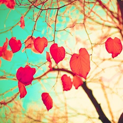 Heart Medicine
