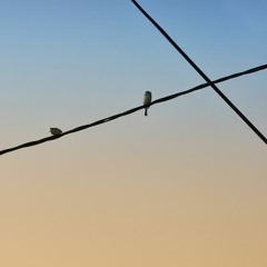 On The Wire