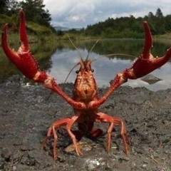Lobster(demo)
