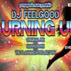 DJ FEELGOOD - BURNING UP & REMIXES (SAMPLER) 108Kbps [PROPS018]