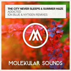 The City Never Sleeps & Summer Haze - Addicted (Ion Blue Remix)