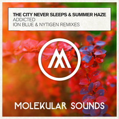 The City Never Sleeps & Summer Haze - Addicted (NyTiGen Remix)