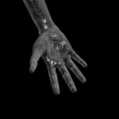 THE GATE THAT LETS YOU IN