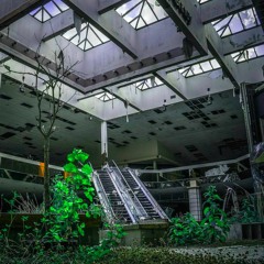 ▌│█║▌║▌║ ＤＥＡＤ ＭＡＬＬ ║▌║▌║█│▌