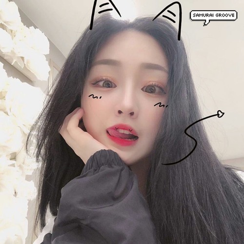 🐱 White Cats白猫 🐱