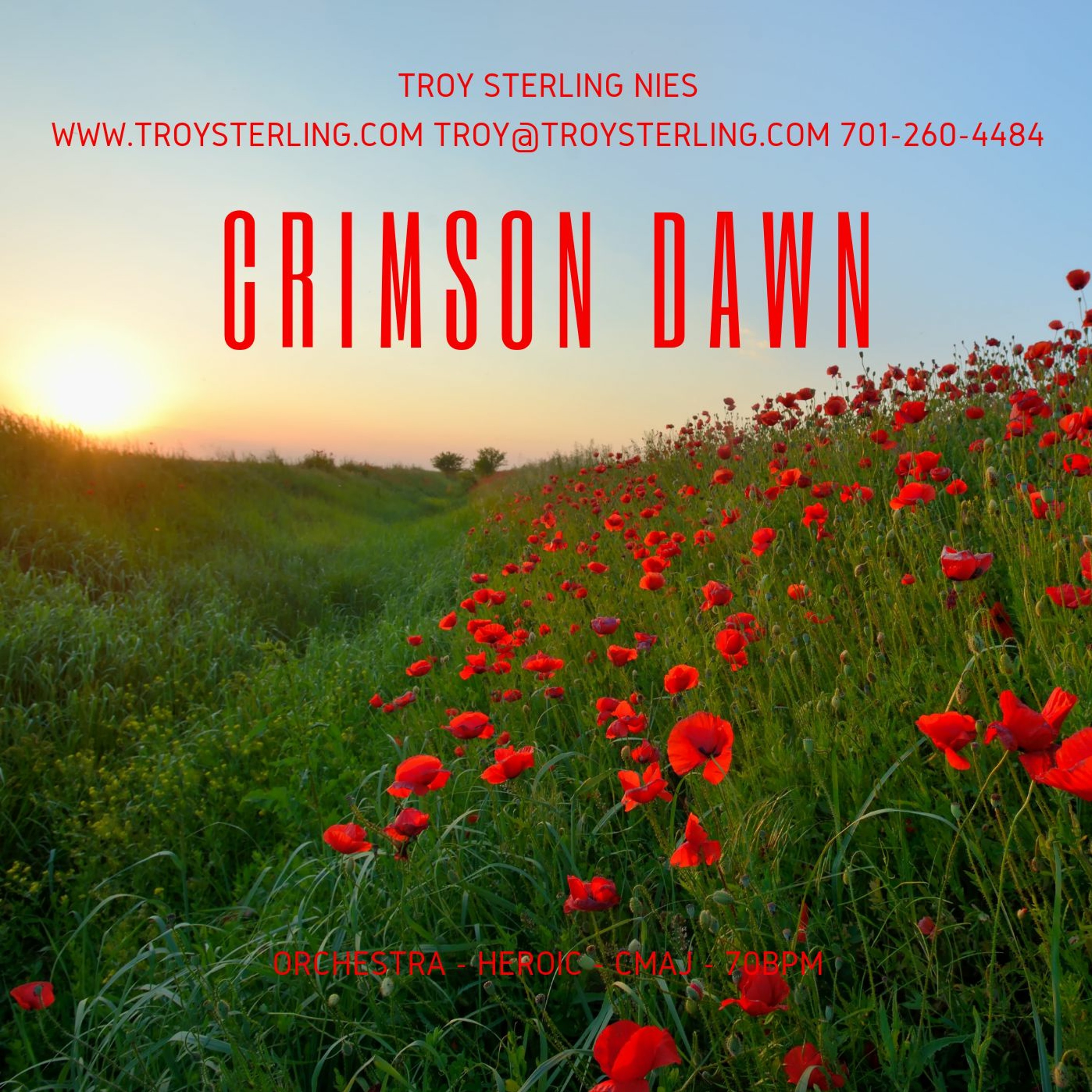 Troy Sterling Nies - composer