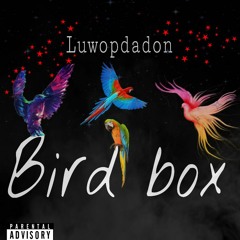 Birdbox - Prod - Woodpec