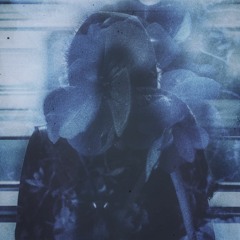 The Girl On The Train (On Spotify)