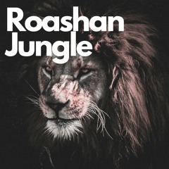 Roashan - Jungle(Preview)