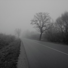 Steps In The Emptiness (video in description)