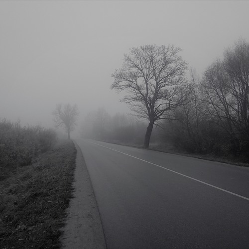 Steps In The Emptiness (video in description)