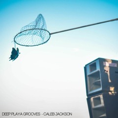 Deep Playa Grooves - Caleb Jackson