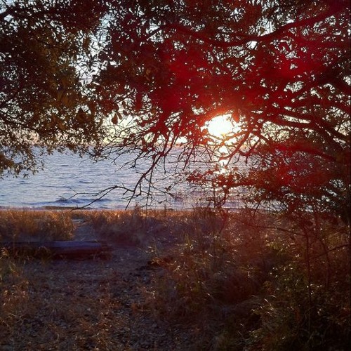 Lush 2019 HAPPY New Years Mix!