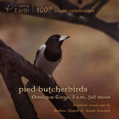 Pied Butcherbirds of Ormiston Gorge: Album Sample