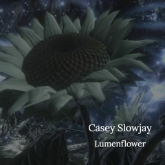 Lumenflower