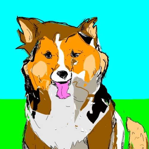 funny animals