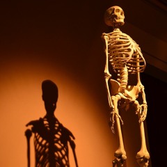 Smoke Rings Mix#89 (Dub Techno / Deep Techno)