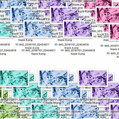 BIG LINES DEMO instrumental