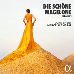 Brahms: Die Schöne Magelone, op.33: III. Sind es schmerzen, sind es freuden
