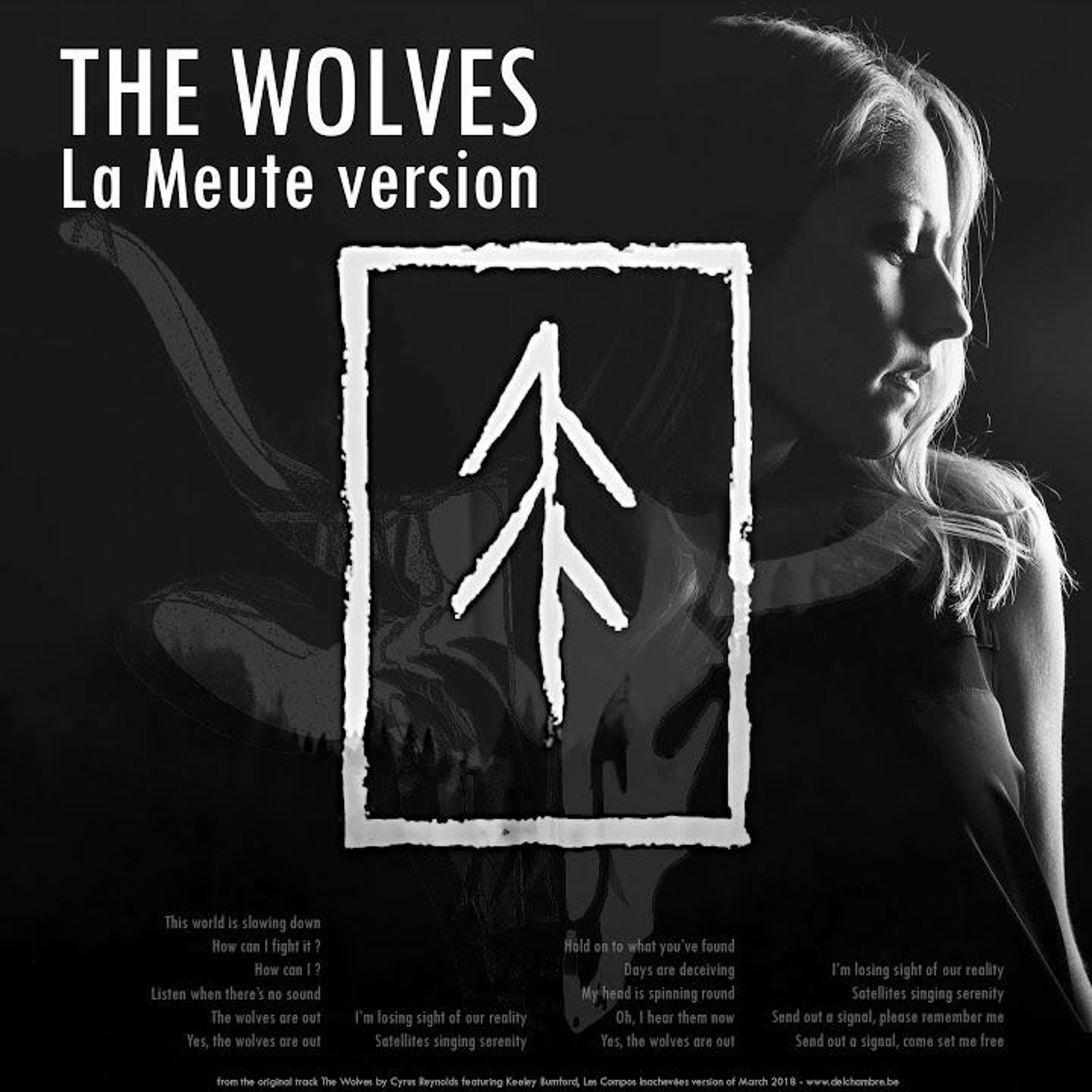 Frédéric Delchambre - Les Compos Inachevées
