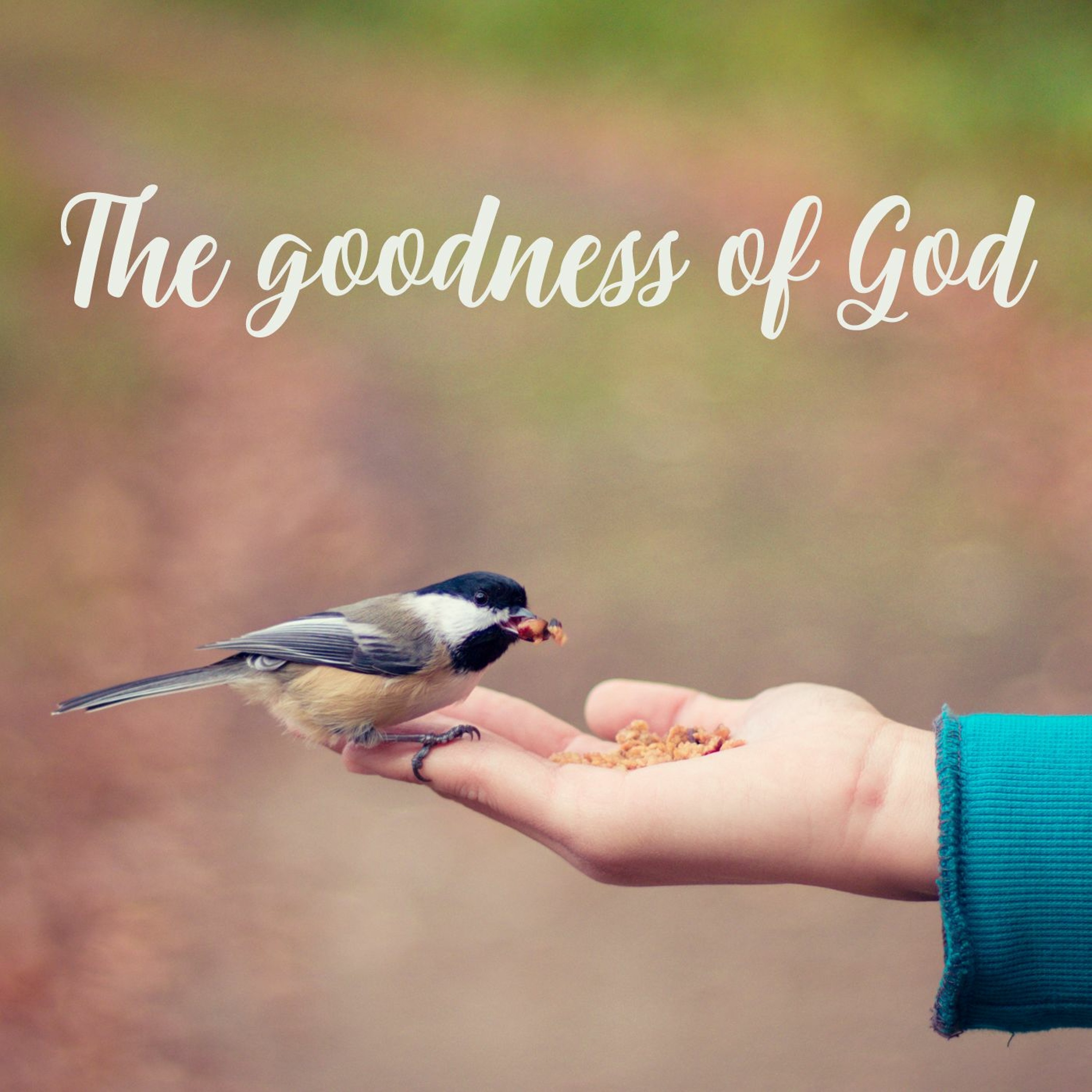 The goodness of God episode artwork