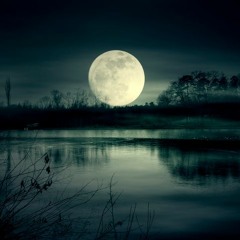 Diffuse Reflection - Night Drone