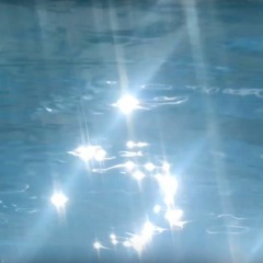 Beauty is everywhere