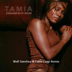 Tamia - Stranger In My House (Well Sacnhez & fabioluigi. Remix)