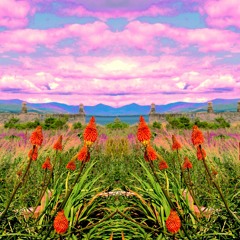 fofi ~ kapers van de rust