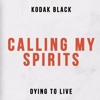 Kodak Black Calling My Spirit Mp3