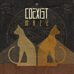 Coexist - Maze (Original mix)