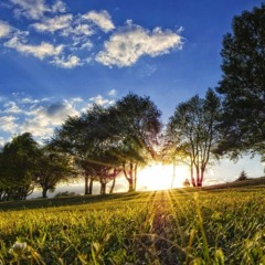 Mvt. I - Summer Days