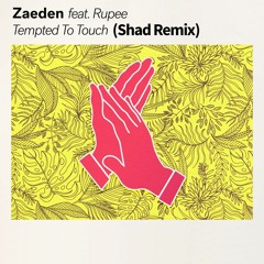 Zaeden feat Rupee - Tempted to touch (SHAD remix)