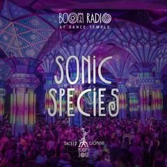Sonic Species - Dance Temple 12 - Boom Festival 2018