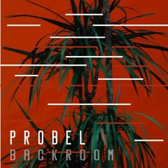 DJ set at PROBEL  4