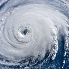 Stephen Elliott - Waves