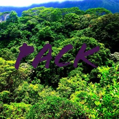 Pack (Prod. by Alien B)