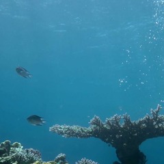 Underwater (Demo)